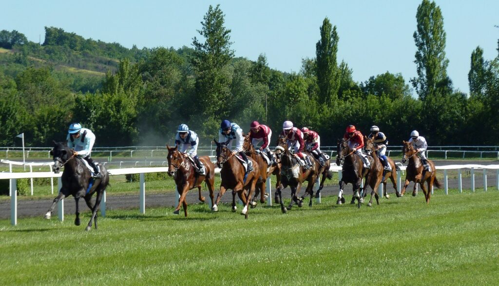 horse-race-1665688_1280.jpg