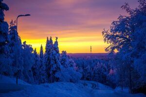 aiva-apsite-Ah_hBiz2-ao-unsplash-scaled.jpg
