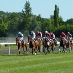 horse-race-1665688_1280.jpg