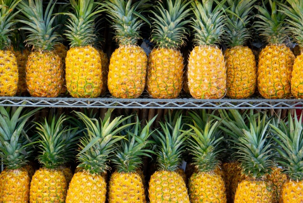 rows-of-pineapples.jpg