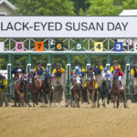Black-Eyed-Susan.jpg