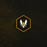 Team-Vitality-Logo.webp.webp