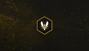 Team-Vitality-Logo.webp.webp