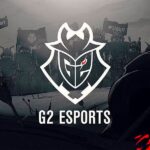 g2.jpg