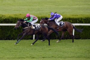 horse-racing-1577292_1280.jpg